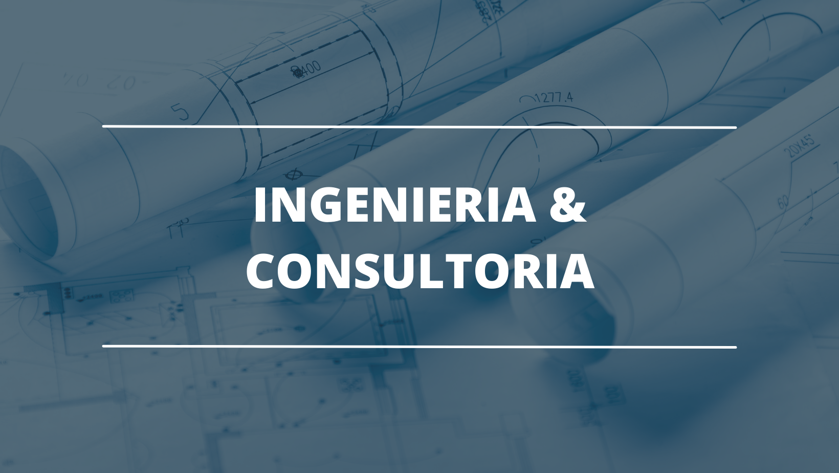 Ingeniería & consultoría